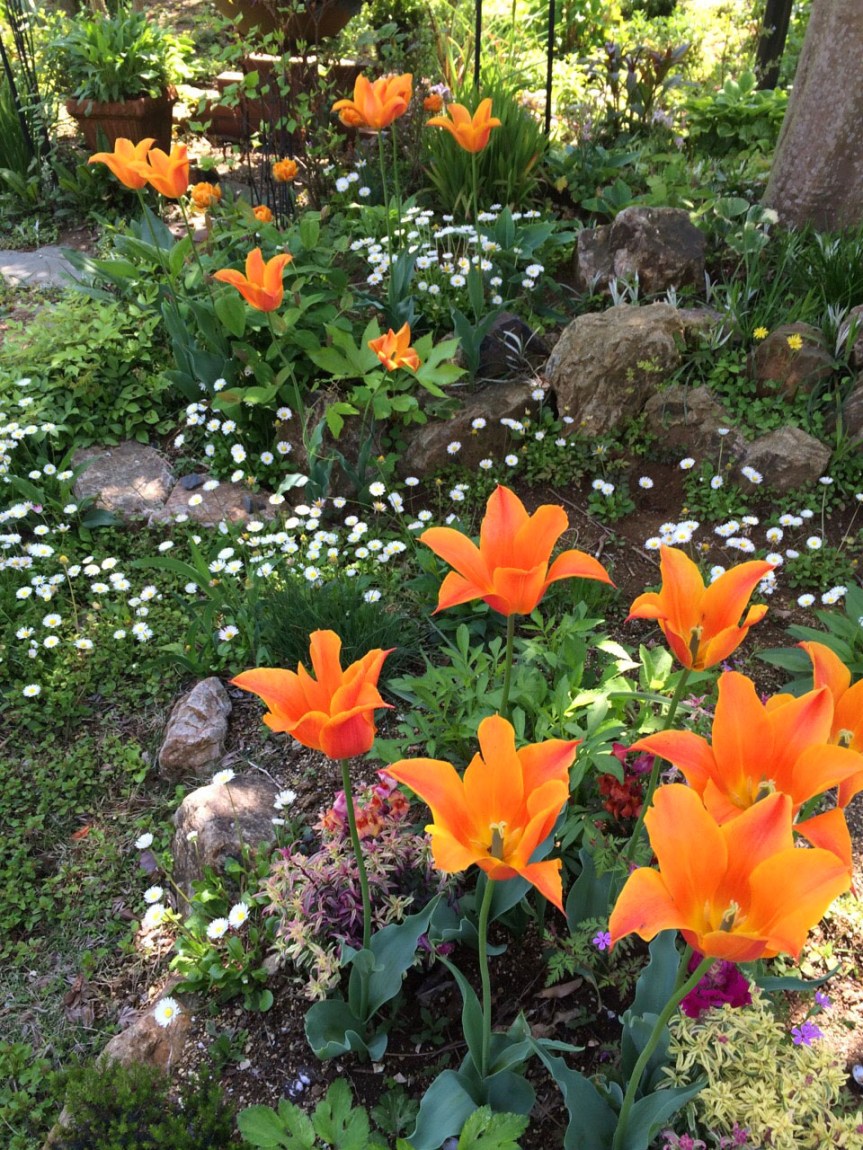 2015-04-25 23.55.50_edit